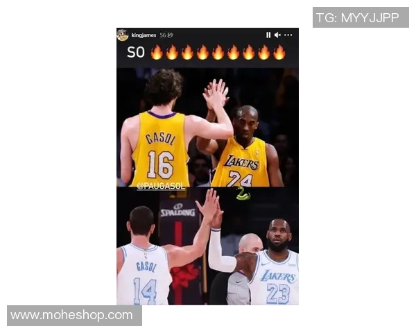 湖人对阵森林狼精彩比赛回顾及全场录像视频分享