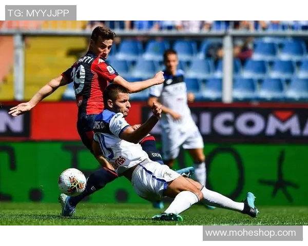 萨勒尼塔纳与阿维利诺的激烈对决展现意乙联赛的精彩魅力与竞争态势 萨勒尼塔纳与阿维利诺的激烈对决展现意乙联赛的精彩魅力与竞争态势